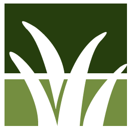 Powder Springs Lawn Clean Up