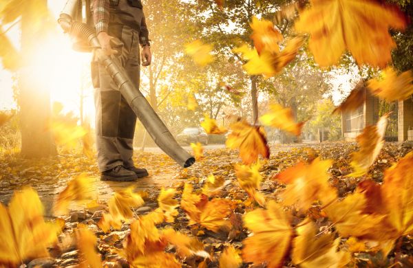 Leaf Blowing Service in Powder Springs