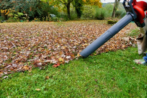 Leaf Vacuuming Service in Powder Springs