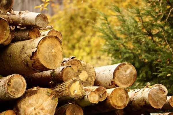 Wood Pile Removal in Powder Springs