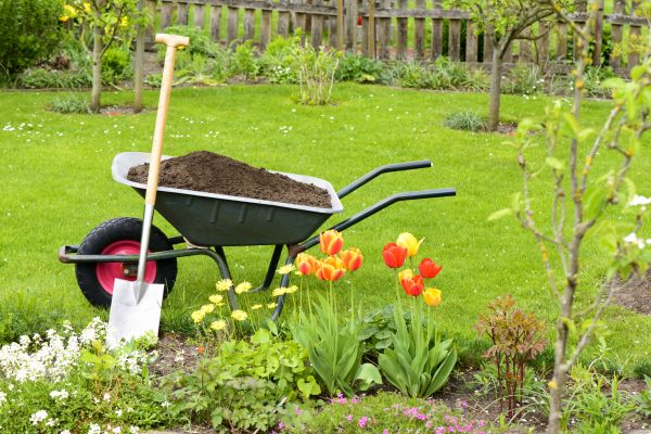 Cost of Spring Yard Cleanup in Powder Springs