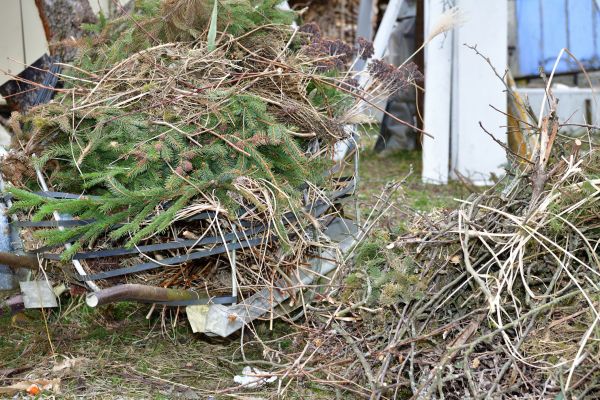 Yard Waste Removal Service in Powder Springs