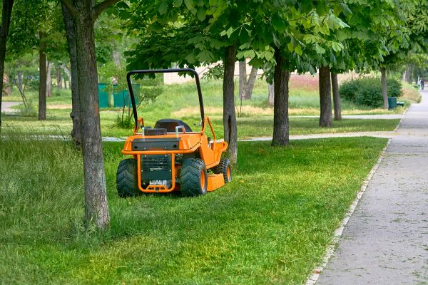 Cost of Landscaping Cleanup Service in Powder Springs
