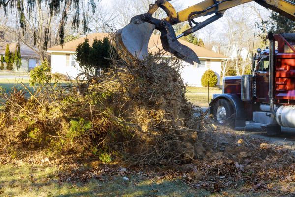 Storm Debris Removal in Powder Springs