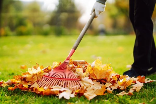 Cost of Ditch Leaf Removal in Powder Springs