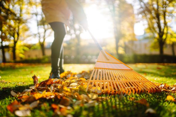 Leaves Raking in Powder Springs