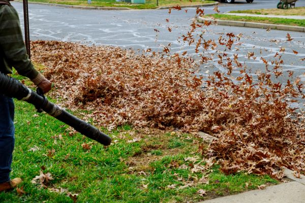 Cost of Garden Leaf Removal in Powder Springs