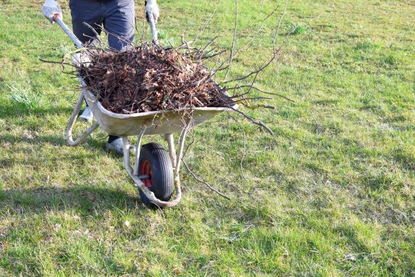 Yard Brush Removal in Powder Springs