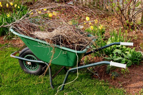 Lawn Waste Removal in Powder Springs