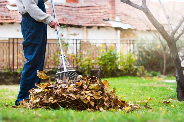 Cost of Fall Yard Cleanup Service in Powder Springs