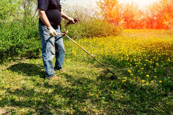 Cost of Yard Clearing Service in Powder Springs