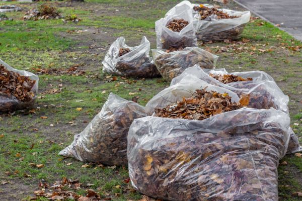 Cost of Leaf Pile Disposal in Powder Springs