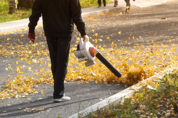 Commercial Leaf Removal in Powder Springs