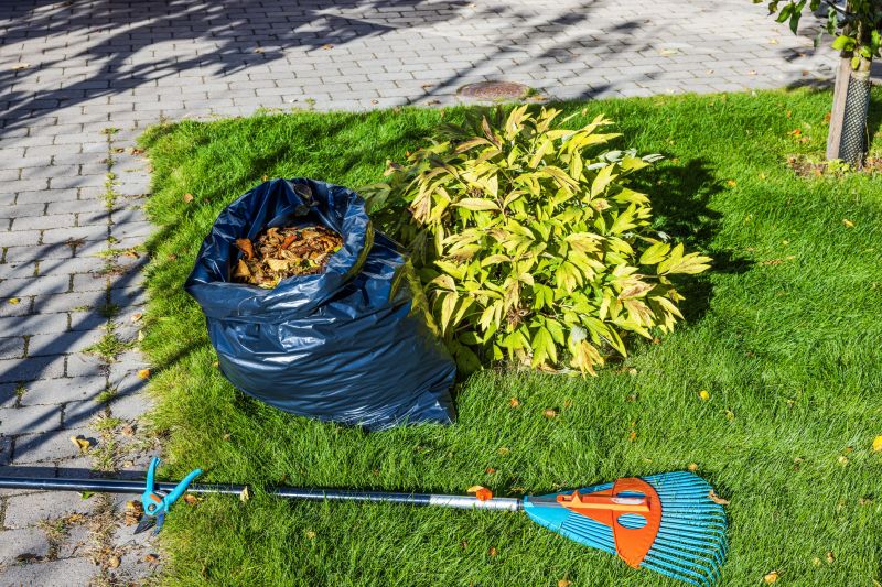 Lawn debris removal