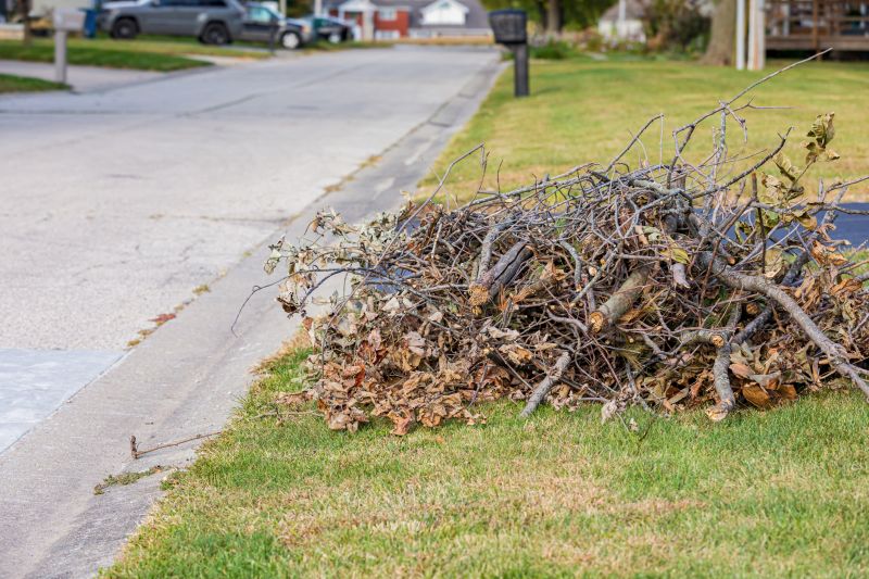 Tree and Brush Removal Services